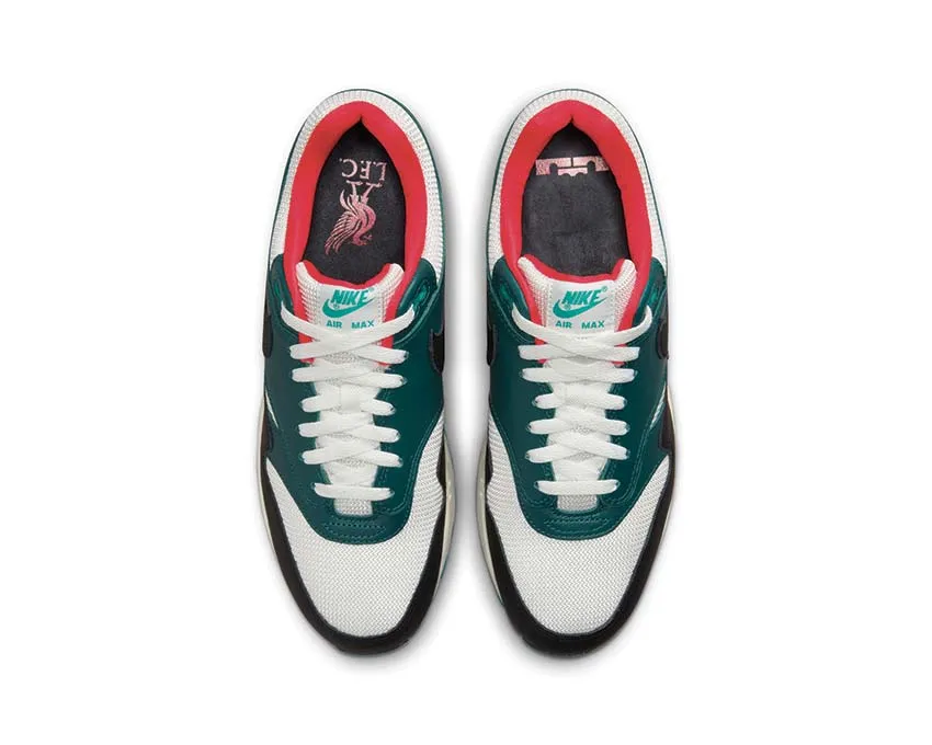 Nike Air Max 1 Prm LBJ