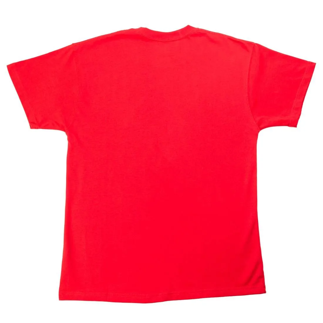 Nike Men Acg Logo Tee (university red / black)