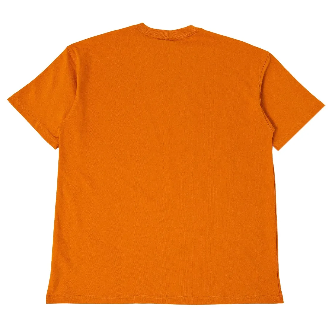 Nike Men Acg Tee (monarch)