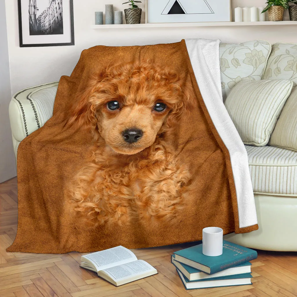 Premium Blanket Poodle Face Hair Blanket