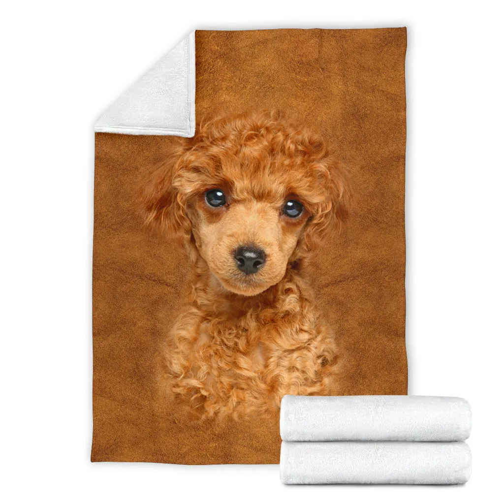 Premium Blanket Poodle Face Hair Blanket